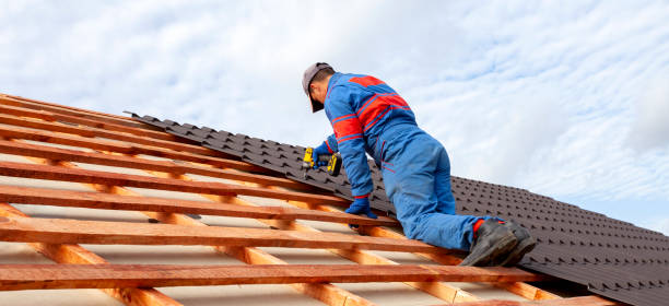 Best Roof Coating and Sealing  in Golden Valley, MN