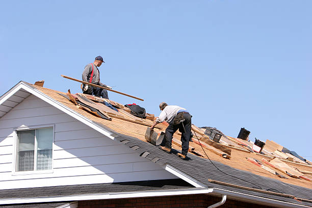 Best Rubber Roofing (EPDM, TPO)  in Golden Valley, MN